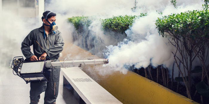 Fumigation Services